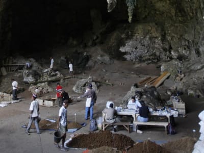 Terungkap! Homo Sapiens dan Neanderthal Berpadu Sejak 250.000 Tahun Lalu