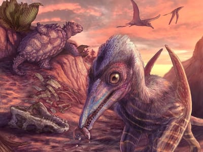 Fosil Pterosaurus Tertua di Amerika Ungkap Ekosistem Transisi Zaman Trias