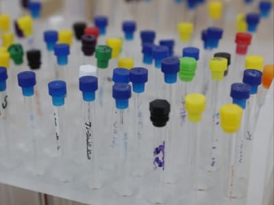 Prosedur Mudah Membuka Peluang Produk Obat Tradisional Hong Kong ke Tiongkok