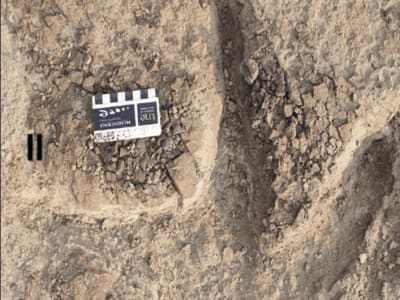 Jejak Kaki Dinosaurus Ungkap Herding Multispesies di Kanada