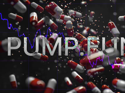 Penurunan Dominasi Pump.fun di Dunia Memecoin Karena Persaingan LetsBonk