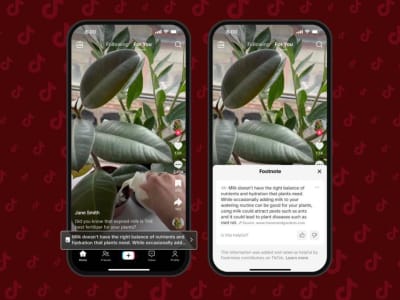 TikTok Luncurkan Footnotes: Sistem Cek Fakta dari Komunitas untuk Video