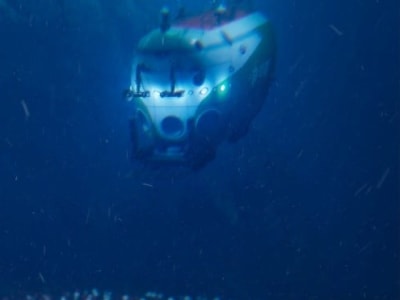 Ekspedisi Laut Dalam Temukan Koloni Makhluk Hidup Terdalam Tanpa Cahaya Matahari