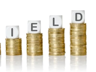 3 Saham Dividen Terbaik untuk Diversifikasi Portofolio dengan Modal Terjangkau di 2025