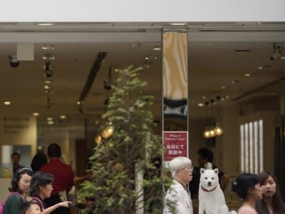 SoftBank Rencanakan IPO PayPay di AS dengan Target Dana 2 Miliar Dollar