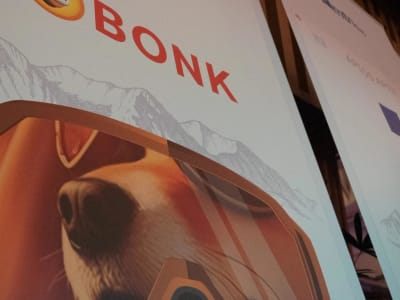 Safety Shot Investasi Saham di Bonk.fun, Raih Pendapatan dari Memecoin Solana