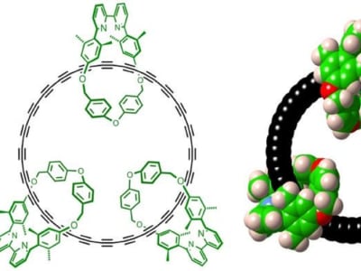 Terobosan Sintesis Siklus Karbon Stabil di Suhu Ruang oleh Tim Oxford