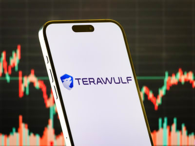 Google Tingkatkan Investasi di TeraWulf Dukung Ekspansi Pusat Data AI dan Bitcoin