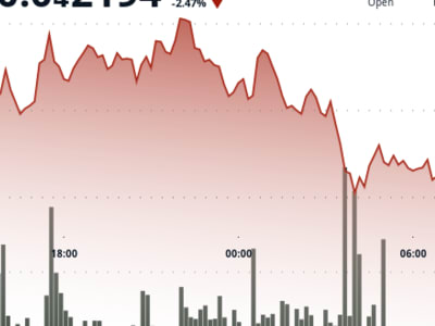 Harga BONK Turun Tajam, Investor Cerdas Akuisisi di Tengah Tekanan Jual