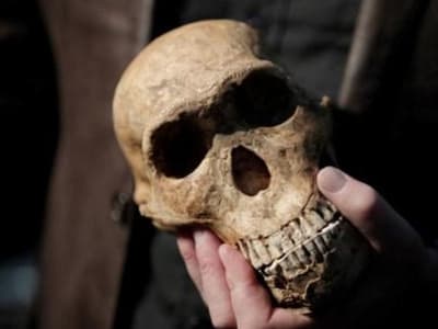 Fosil Anak di Israel Ungkap Perkawinan Dini Homo sapiens dan Neanderthal