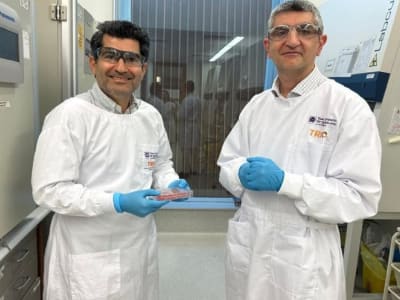 Peneliti UQ Ciptakan Kulit Manusia Lengkap untuk Terobosan Medis Kulit