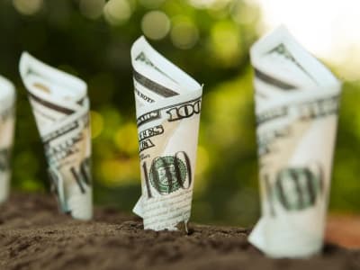 2 Saham Dividen Stabil untuk Investasi Aman di Pasar Saham yang Bergolak