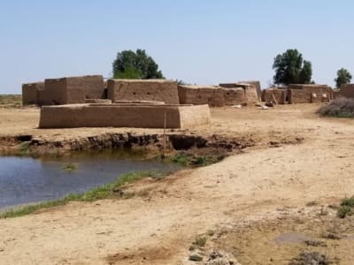 Bagaimana Pasang Surut Teluk Persia Memicu Kejayaan Peradaban Sumer