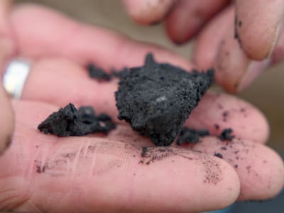 Terraton Bawa Model Waralaba McDonald’s untuk Percepat Produksi Biochar