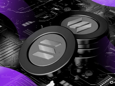 Turunnya Minat Trader Ritel di DEX Solana Akibat Kasus Penipuan Koin Meme