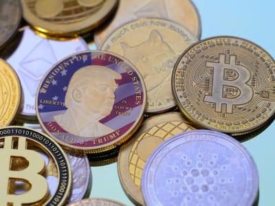 Panduan Memilih Altcoin Aman untuk Investasi Crypto yang Lebih Bijak