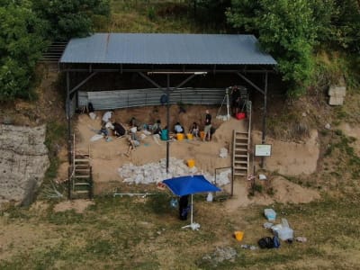 Penemuan Tulang Rahang Homo Erectus 1,8 Juta Tahun Ungkap Sejarah Manusia Purba Eurasia