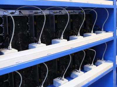 Hashrate Bitcoin Capai Rekor, Tapi Keuntungan Penambang Menurun