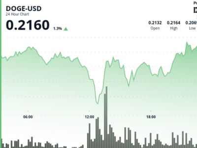 DOGE Bergerak Volatil dengan Spekulasi ETF, Potensi Naik Capai Rp 493.35 ribu ($0,30) 