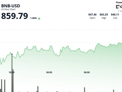BNB Melonjak Hampir 1,5% Didukung Pembelian Besar dan Breakout Resistance