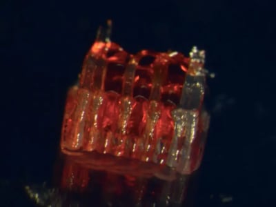 Inovasi 3D Printing dan Sel Punca untuk Memulihkan Cedera Tulang Belakang