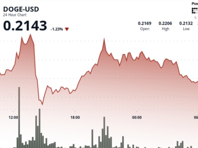 Dogecoin Naik Didukung Investor Besar dan Inisiatif ETF, Target Harga Meningkat