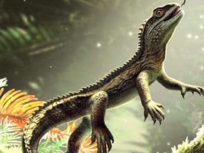 Fosil Kadalu Tertua dari Inggris Ubah Pandangan Evolusi Reptil