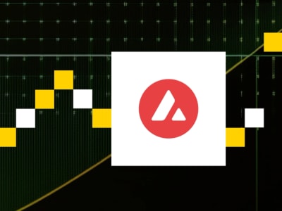 Avalanche Foundation Siap Galang Dana Rp 16.45 triliun ($1 Miliar)  untuk Investasi Token AVAX