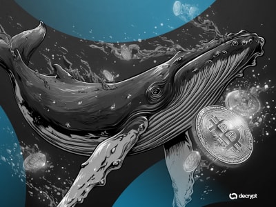 Whale Bitcoin Lama Bangkit, Gerakkan Rp230 Miliar BTC Setelah 13 Tahun