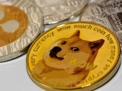 ETF Dogecoin & XRP Meledak Usai SEC Terapkan Aturan Baru Jadi Lebih Cepat