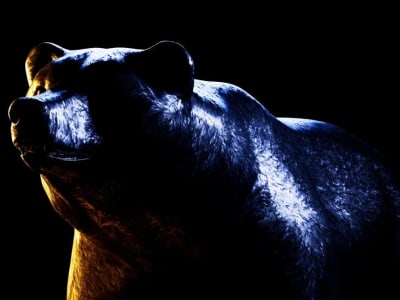 Investasi Komputasi Kuantum: Hype atau Peluang Masa Depan yang Masih Jauh?