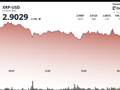 XRP Turun Tajam Setelah Debut ETF: Apa Artinya untuk Masa Depan Token?