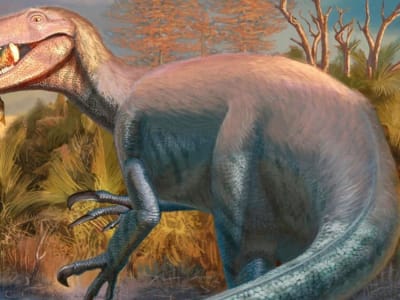 Penemuan Dinosaurus Predator Baru dengan Bukti Makan Buaya di Mulutnya