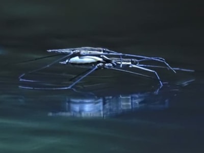 Inovasi HydroSpread: Robot Mini yang Langsung Dibuat di Atas Air untuk Pemantauan Lingkungan