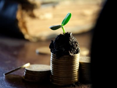 John Wiley & Sons: Saham Dividen Stabil dengan Fokus Digital dan Peluang AI