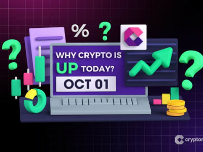Pasar Kripto Konsolidasi di Uptober dengan Bitcoin Memimpin Kenaikan