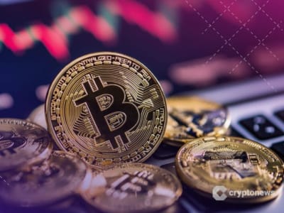 Jerman Kehilangan Triliunan Rupiah Setelah Jual 50.000 Bitcoin Terlalu Cepat