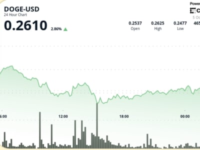 Dogecoin Bangkit dari Tekanan, Target Harga Selanjutnya Rp 493.35 ribu ($0,30) –Rp 542.68 ribu ($0,33) 