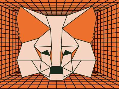 MetaMask Luncurkan Rewards Rp 493.35 miliar ($30 Juta) , Sambut Token Native Pertama