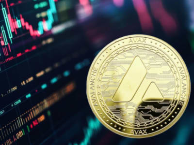 CruTrade Luncurkan Pasar NFT Anggur di Avalanche dengan Keuntungan untuk Produsen