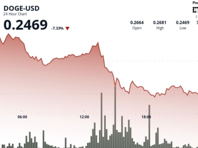 Dogecoin Turun 8% Namun Ada Tanda Akumulasi Besar di Level Rp 411.13 ribu ($0,25) 
