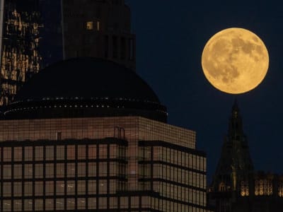 Aktivitas Seismik di Bulan Ancaman Baru Bagi Misi Artemis NASA