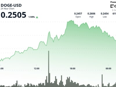 Dogecoin Tertekan di Level Rp 427.57 ribu ($0,26) Tapi Whale Masih Tetap Akumulasi Besar