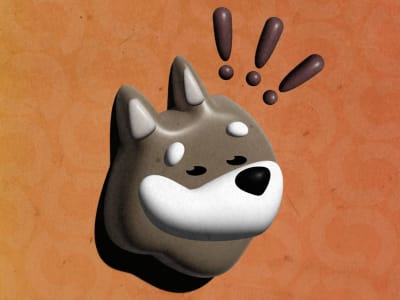 Safety Shot Resmi Jadi Bonk, Inc., Fokus Kembangkan Meme Coin Solana