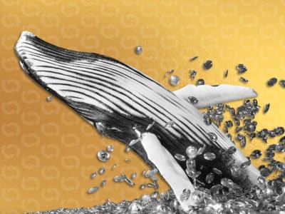 Apakah Siklus 4 Tahun Bitcoin Sudah Berakhir Menurut Arthur Hayes?