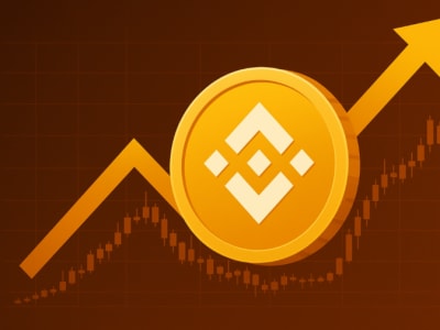 China Renaissance dan YZi Siap Kumpulkan Rp 9.87 triliun ($600 Juta)  untuk Akumulasi BNB