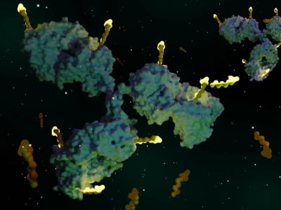 Tubulis Raih Dana Besar untuk Terapi Kanker Inovatif Antibody-Drug Conjugate