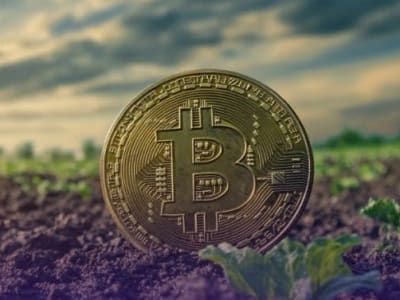 Dampak Kebijakan Washington Picu Sell-off Besar di Pasar Crypto