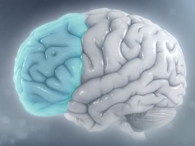 Model Otak 3D MiBrain: Terobosan Baru Studi Penyakit Alzheimer dan Pengobatan Personal