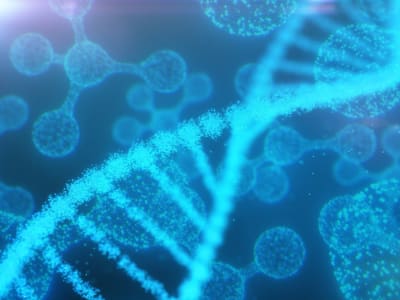 Rahasia Panjang Umur Tikus Tanpa Rambut Bisa Jadi Kunci Terapi Anti-Aging